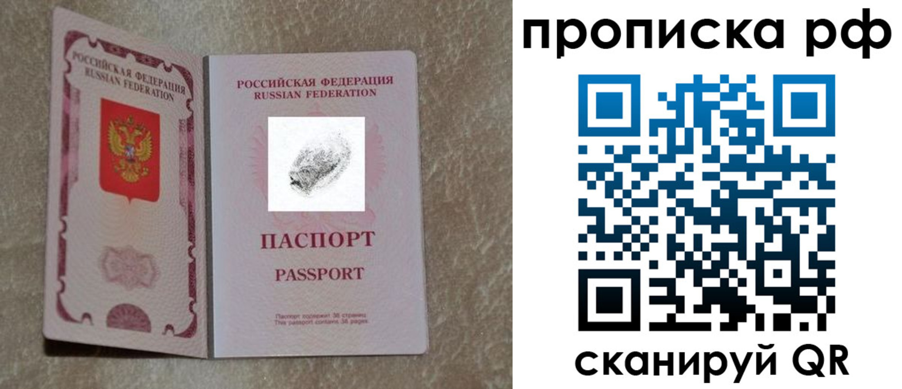 прописка поиск в Киришах